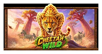 Cheetah Wild slot artwork